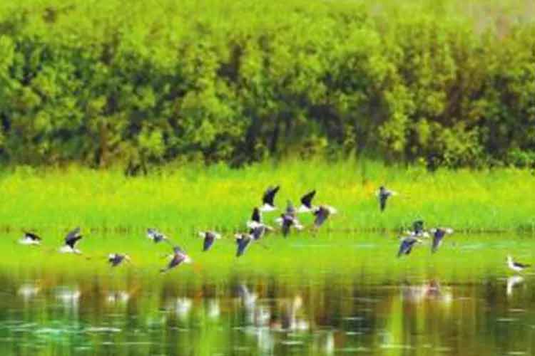 綠水青山就是金山銀山，凱瑞特重工助力環(huán)境保護