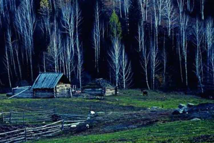 綠水青山就是金山銀山，凱瑞特重工助力環(huán)境保護