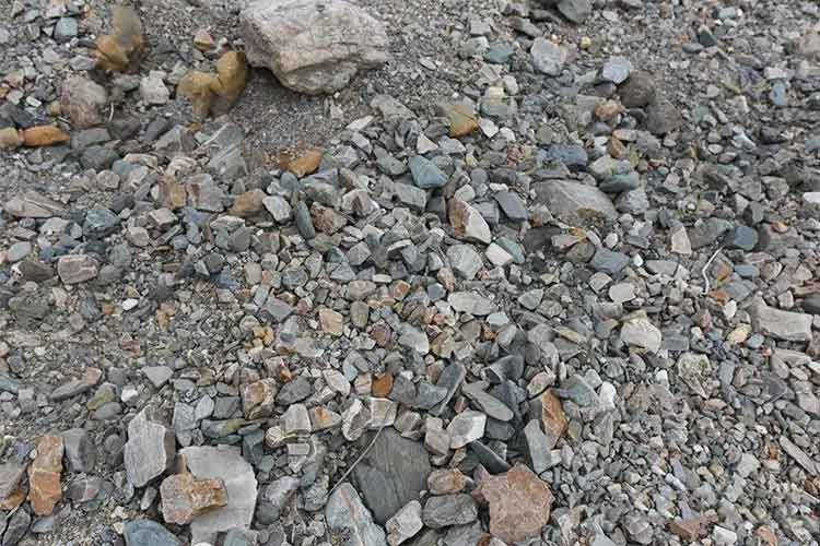 河砂、海沙、機制砂如何區(qū)分？建筑用砂選哪種性價比最高？